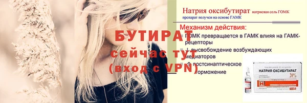 сатива Балахна