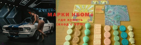 индика Дмитриев