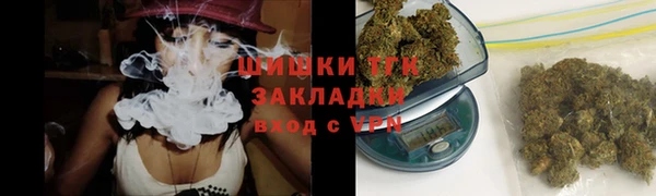 сатива Балахна