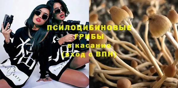 Альфа ПВП Баксан