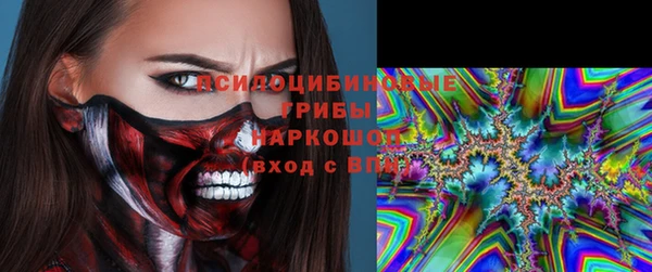 сатива Балахна