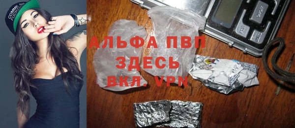 сатива Балахна