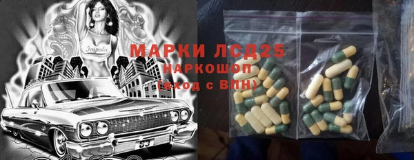сатива Балахна