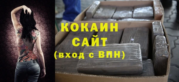 сатива Балахна