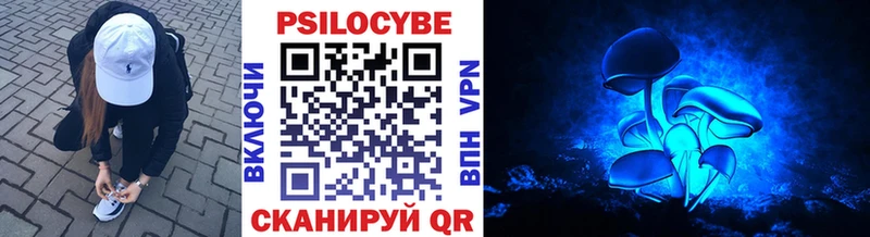 Псилоцибиновые грибы Psilocybe  Окуловка 